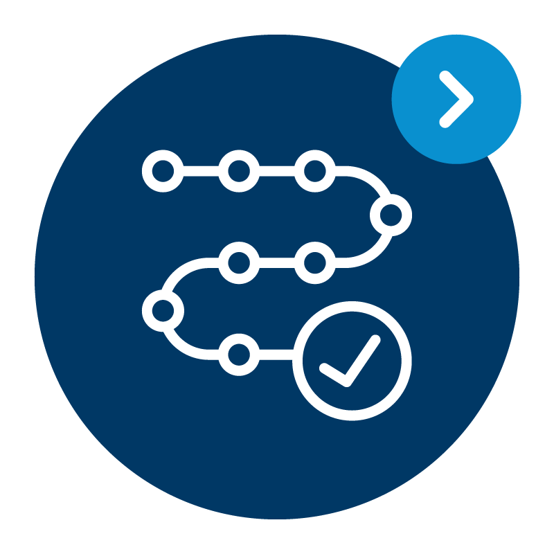 Quality Assurance & Delivery Icon